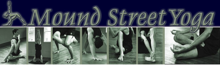 Yoga classes and yoga teacher training by Scott Anderson at Alignment Yoga in Blue Mounds WI and Madison Wisconsin.